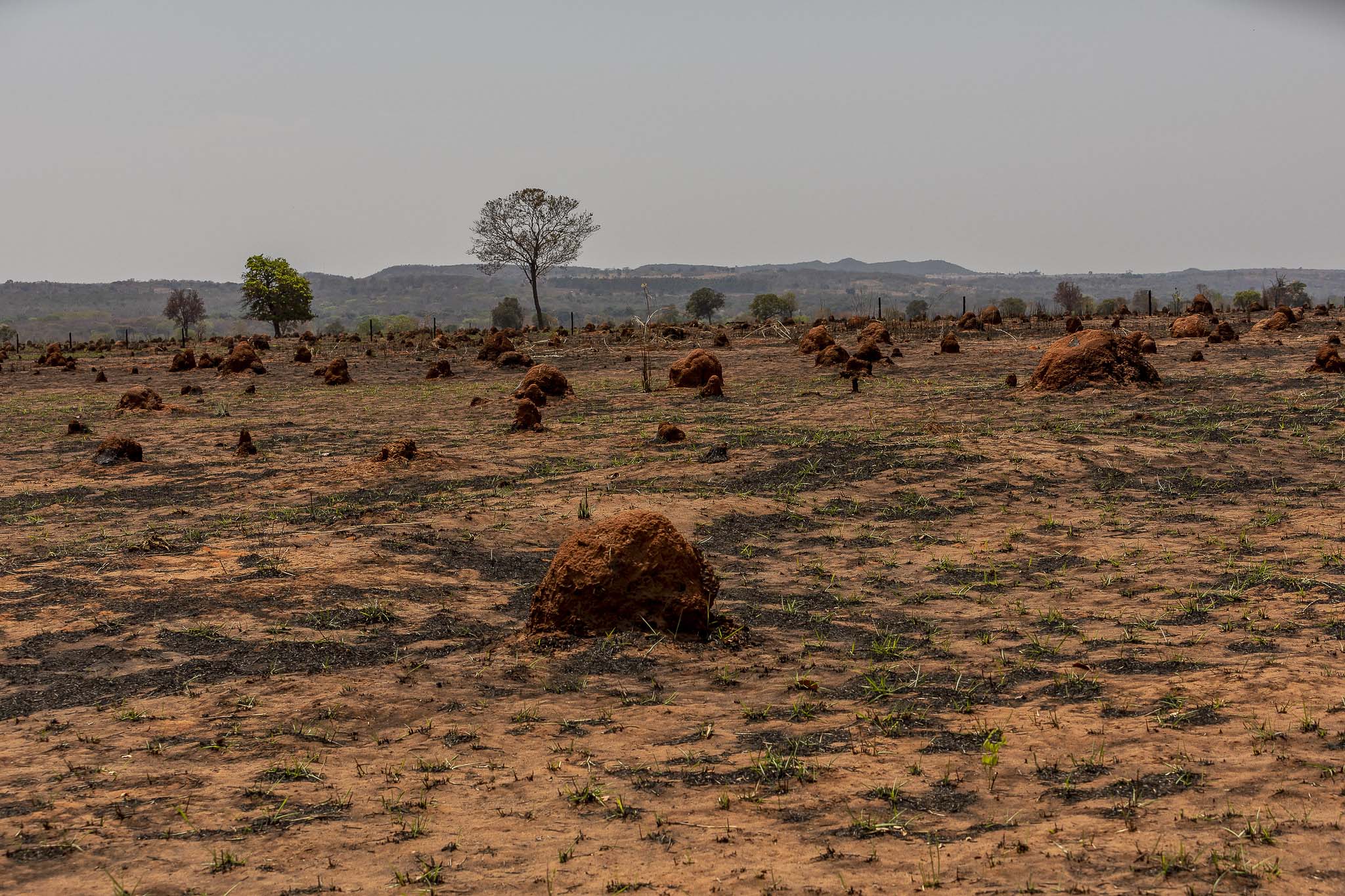 Imagem Expedição Chap Guim - ESEC Serra das Araras- da expedição de expedicoes/araras_25